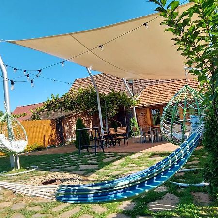 シビウ Casa Simionヴィラ エクステリア 写真