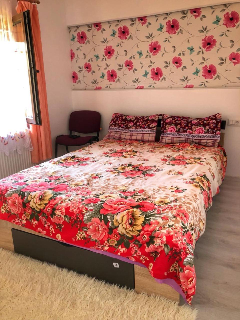 シビウ Casa Simionヴィラ エクステリア 写真